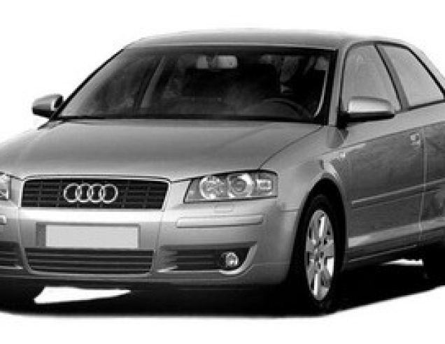 Dywaniki samochodowe Audi A3 8P (2005-2008)