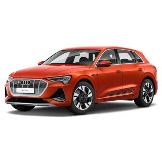 Dywaniki samochodowe Audi e-tron  (2018-…)