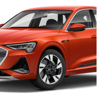 Dywaniki samochodowe Audi e-tron  (2018-…)