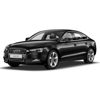 Dywaniki samochodowe Audi A5 (2009-2011)