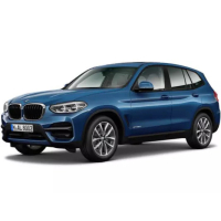 Dywaniki samochodowe BMW X3 G01 (2017-…)