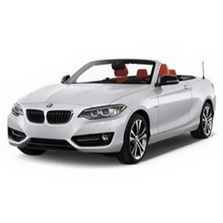 Dywaniki samochodowe BMW F22 2-Series (2013-…)