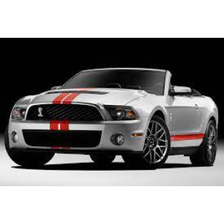 Dywaniki samochodowe Ford Mustang GT (2009-2014)
