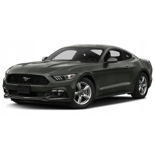 Dywaniki samochodowe Ford Mustang (2015-…)