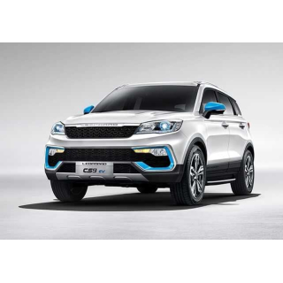 Dywaniki samochodowe Leopaard CS9EV (2017-…)