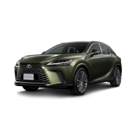 Dywaniki samochodowe Lexus RX 450h+ (2022-…)