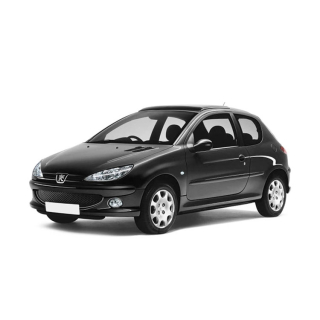 Dywaniki samochodowe Peugeot 206 (1998-2009)