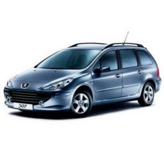 Dywaniki samochodowe Peugeot 307 SW (2002-2008)