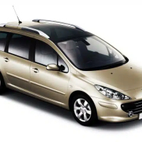 Dywaniki samochodowe Peugeot 307 (2001-2008)