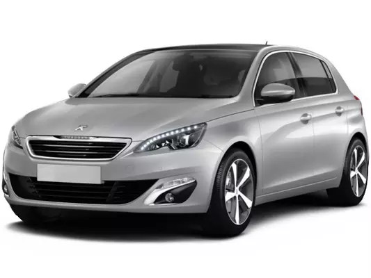 Dywaniki samochodowe Peugeot 308 (2013-2017)