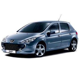 Dywaniki samochodowe Peugeot 307 (2001-2005)