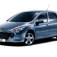 Dywaniki samochodowe Peugeot 307 (2001-2005)