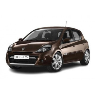 Dywaniki samochodowe Renault Clio (2009-2012)