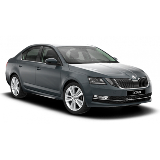 Dywaniki samochodowe Skoda Octavia A7 (2017-2019)