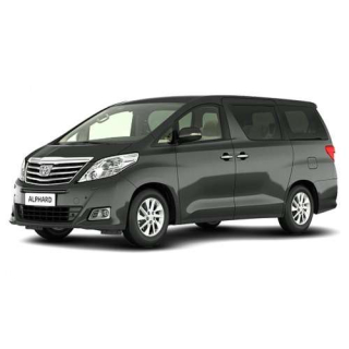Dywaniki samochodowe Toyota Alphard (2002-2008)